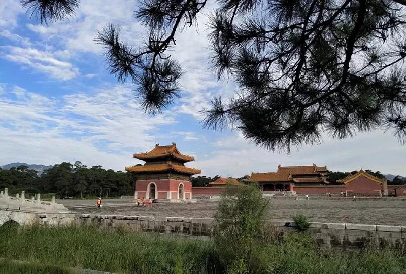 恢复营业！大暑节气，来清西陵凉爽一“夏”