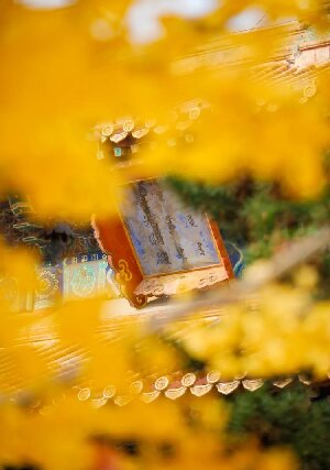 清西陵永福寺大放福利！2024年12月31日至2025年2月27日永福寺免费向公众开放